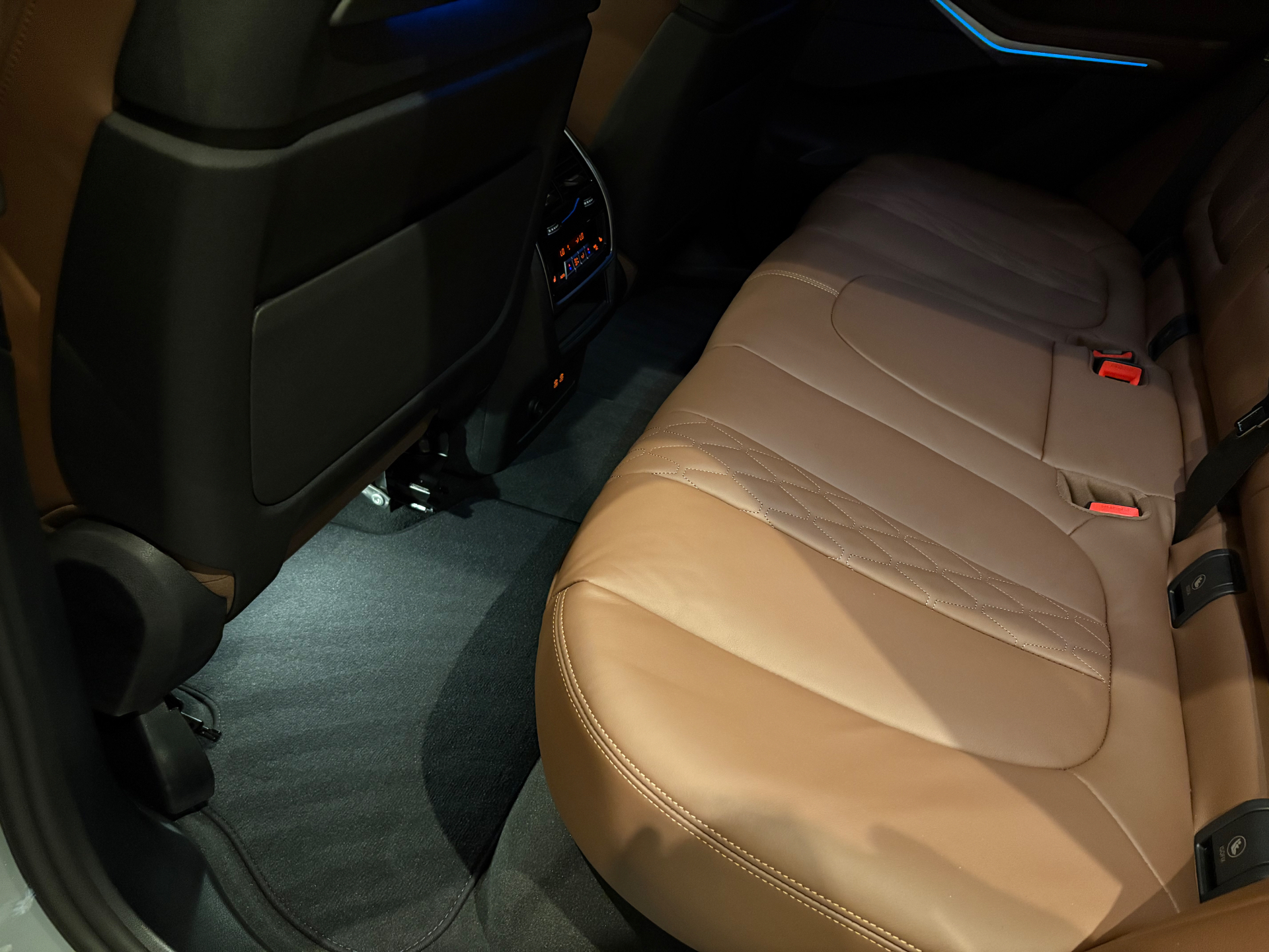 BMW X5 interior after detailing